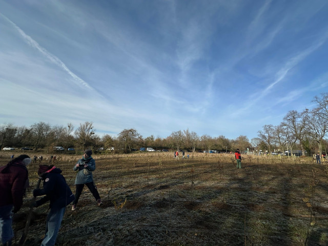 Spendenaktion GLORIA WALD (Photo 3)